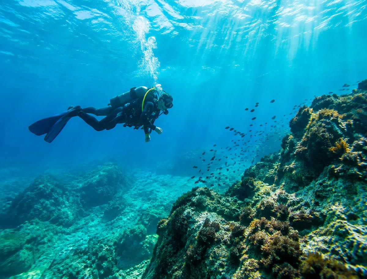 Scuba Diving